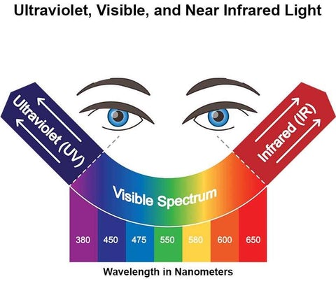 What is Infrared Light?